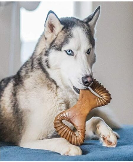 Benebone Dental Durable Dog Chew Toy