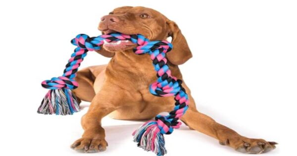 Dog Toys Rope for Aggressive Chewers
Woof Toys